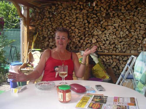 Hosté ubytování Brigitta vendégház