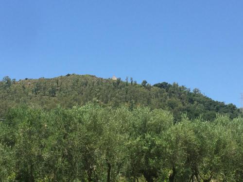 Gallery image of Il Borgo sul Lago in Pizzo