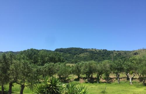 Gallery image of Il Borgo sul Lago in Pizzo