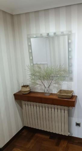 a shelf with a mirror and a plant on it at El Capricho de Candás in Candás