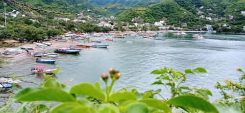 Un paisaje natural cerca de la casa de huéspedes