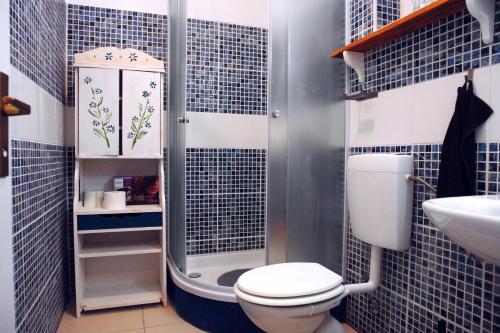 un bagno con doccia, wc e lavandino di Maramare Pinus a Stara Baška