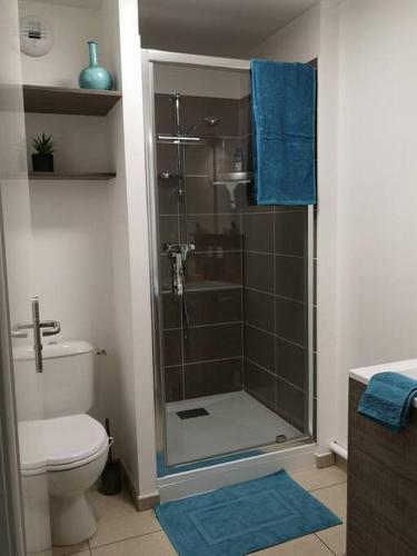 La salle de bains est pourvue d'une douche, de toilettes et de tapis bleus. dans l'établissement Maison Jasmin-Citrus, à Saint-Valery-sur-Somme