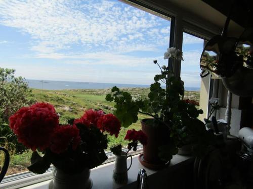 Gallery image of Furthest Point West in Ballyconneely