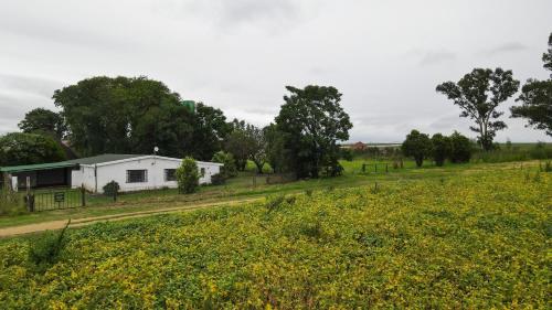 Příroda nedaleko prázdninového domu