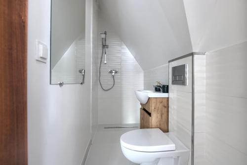 uma casa de banho branca com um WC e um chuveiro em WierchoHouse em Groń