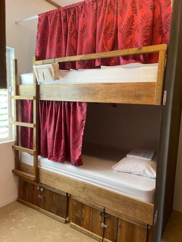 two bunk beds in a room with red curtains at Royal Rat Hostel in Placencia