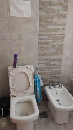 胡寧的住宿－Casa con pileta Matheu，一间带卫生间和水槽的浴室