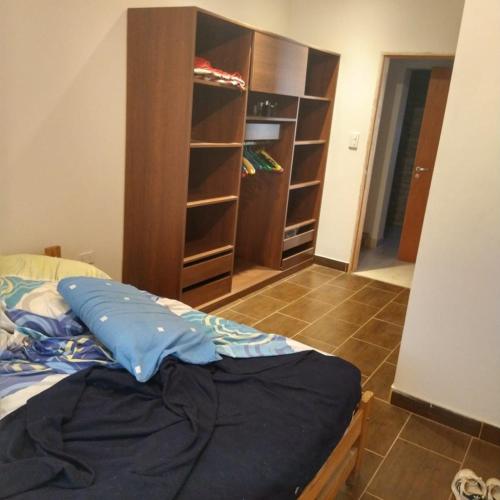 ein Bett mit blauem Kissen in einem Schlafzimmer in der Unterkunft Casa con pileta Matheu in Junín