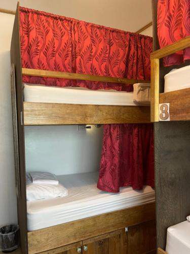 a bunk bed in a room with red curtains at Royal Rat Hostel in Placencia