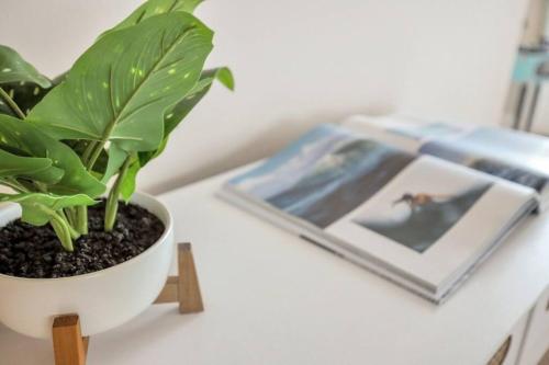 a plant in a pot on a table with a picture at Beach Front Condo w/Pool, Restaurant, and Bar in Tybee Island