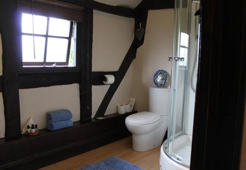 a bathroom with a toilet and a glass shower at Cider Press in Hereford