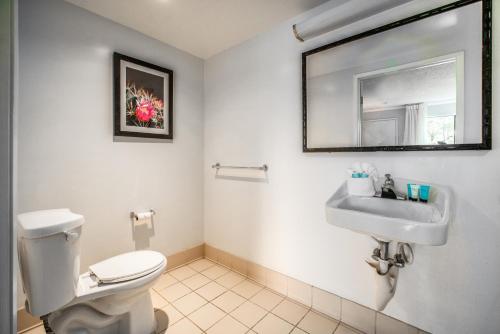 a bathroom with a white toilet and a sink at The Buena Park Hotel & Suites in Buena Park