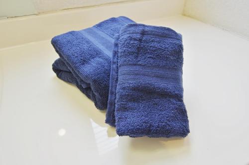 VILLENTFujimiHiekawa - Vacation STAY 93591v في إيزو: منشفة زرقاء موضوعة فوق منضدة الحمام
