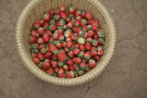 Vattavada的住宿－EUCALIA GLAMPS- VATTAVADA，地板上装满了草莓和 ⁇ 猴桃的篮子