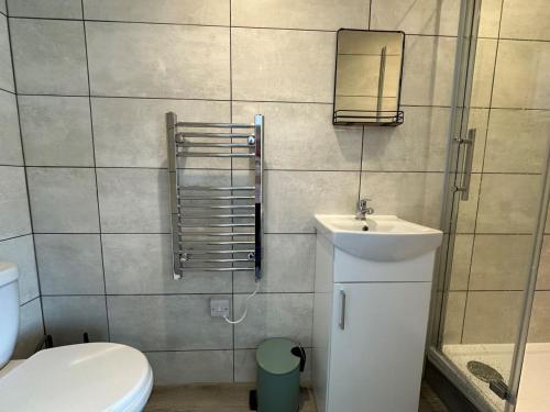 a bathroom with a toilet and a sink and a mirror at Carmen Sylva Studio flat Llandudno sea front in Llandudno