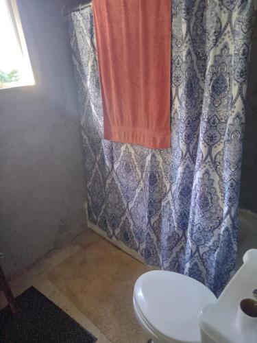 ein Bad mit einem WC und einem Duschvorhang in der Unterkunft Barracuda beach in Port Antonio