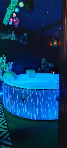 a room with a blue tub in a room at Péniche Morgane 2 chambre d'hôtes in Cambrai