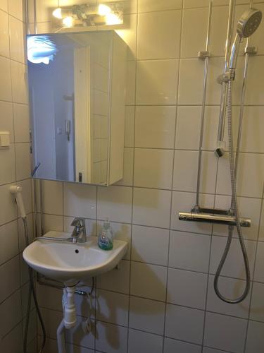 ein Bad mit einem Waschbecken, einem Spiegel und einer Dusche in der Unterkunft Stor lägenhet in Malmö
