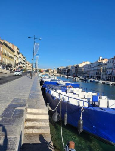 une rangée de bateaux attachés à un quai dans un canal dans l'établissement Appartement Rue Frédéric Mistral, à Sète