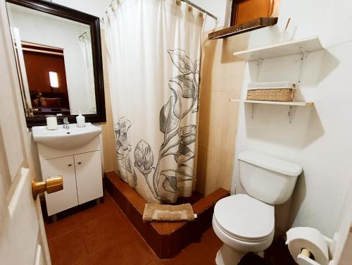 a bathroom with a toilet and a sink at Lascar 31 in San Pedro de Atacama