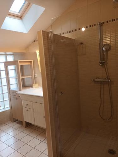 a bathroom with a shower with a glass shower stall at Jolie petite maison sérénité centre historique in Brioude