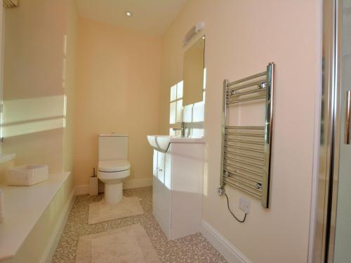 łazienka z toaletą i umywalką w obiekcie 3 Bed in Betws-y-coed 55655 w mieście Dolgarrog