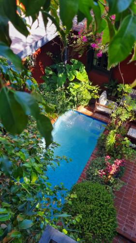 a small swimming pool in a garden with plants at BE Jardin Escondido By Coppola in Buenos Aires