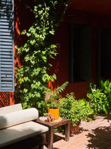 a group of plants on a patio with a table at BE Jardin Escondido By Coppola in Buenos Aires