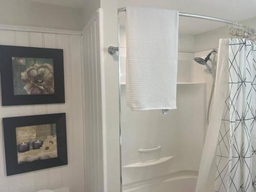 a bathroom with a shower and a shower curtain at Small lakefront cabin in Sylvan Lake