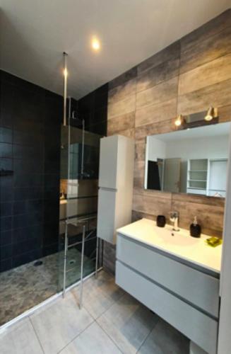 La salle de bains est pourvue d'un lavabo, d'une douche et d'un réfrigérateur. dans l'établissement Le 73 Bastide, à Carcassonne