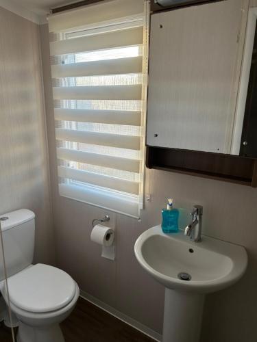 a bathroom with a toilet and a sink and a mirror at 3 BEDROOMED CARAVAN WITH AMAZING SEA VIEWS! in Scarborough