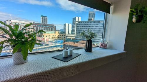 a window with two candles and plants on a window sill at Excellent Leeds City Center 1 Bedroom Apartment in Leeds
