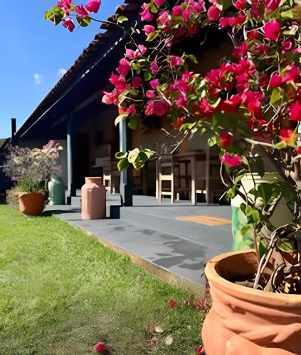 a plant with pink flowers in a pot in front of a house at Pousada Recanto Janbor in Olímpia
