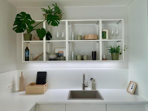 una encimera con fregadero y algunas plantas en DearDeer Apartment, en Liptovský Mikuláš
