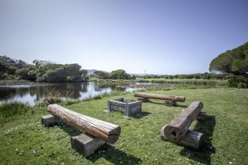 un gruppo di tronchi nell'erba vicino a un fiume di Apollo Bay Cottages- Sabine a Marengo