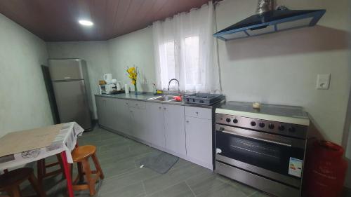 een kleine keuken met een fornuis en een wastafel bij apartamento T2 zona rural in Vila Nova de Paiva