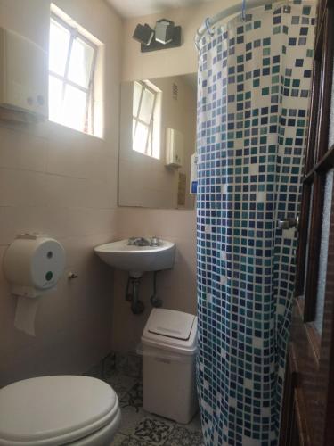 a bathroom with a toilet and a sink and a shower at Play Hostel Arcos in Buenos Aires