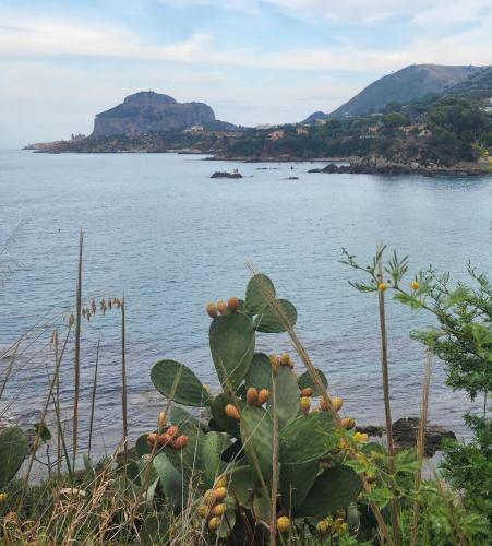 Φυσικό τοπίο κοντά σε αυτό το διαμέρισμα