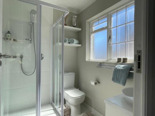 uma casa de banho com um WC e uma cabina de duche em vidro. em Joy@Grotto Beach, Hermanus em Hermanus