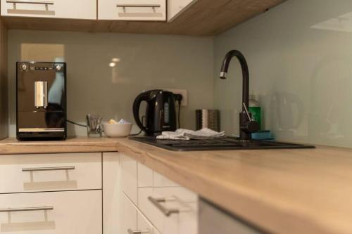 Spacious Apartment mitten in Wien