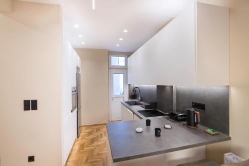 Urban Spacious Apartment Near Kallimarmaron