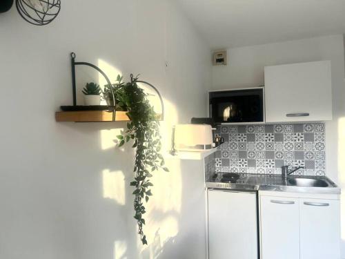 a kitchen with a sink and a counter with a plant at Studio - 4 pers. 10min Disney in Bussy-Saint-Georges