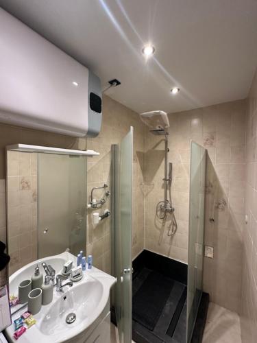 a bathroom with a sink and a shower at Familien Apartment in Niederaigen