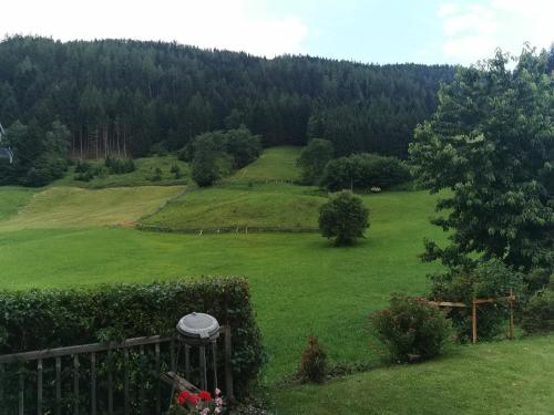 a large green field with trees in the background at Apart Desiree in Arzl im Pitztal