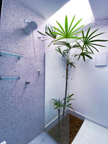a bathroom with a shower with a plant in it at Pousada Praia do Tombo in Guarujá