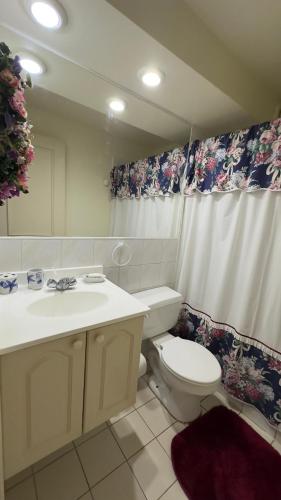 a bathroom with a toilet and a sink and a mirror at Ilimay Las Cruces in Las Cruces