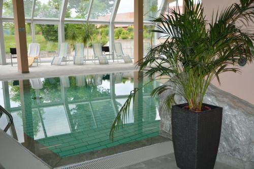 Der Swimmingpool an oder in der Nähe von AVALON Hotelpark Königshof