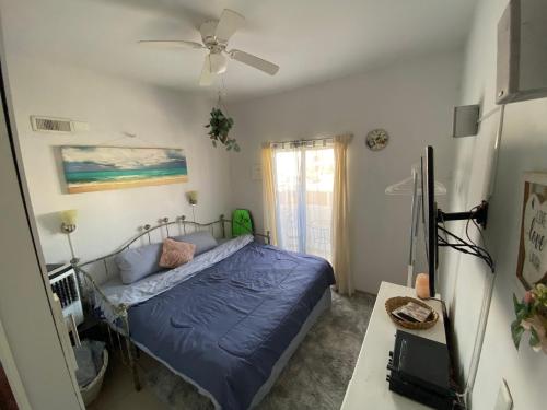 a bedroom with a bed and a ceiling fan at Modern 1-bedroom Apartment in Cabo San Lucas in Cabo San Lucas