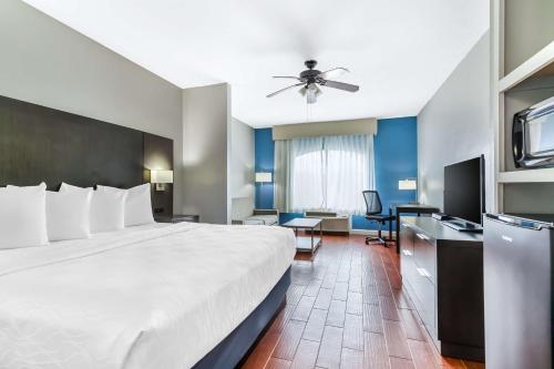 Pokój hotelowy z dużym łóżkiem i biurkiem w obiekcie Best Western Port Lavaca Inn w mieście Port Lavaca